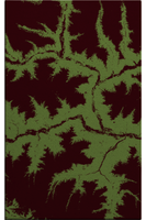 FROZEN ROOTS